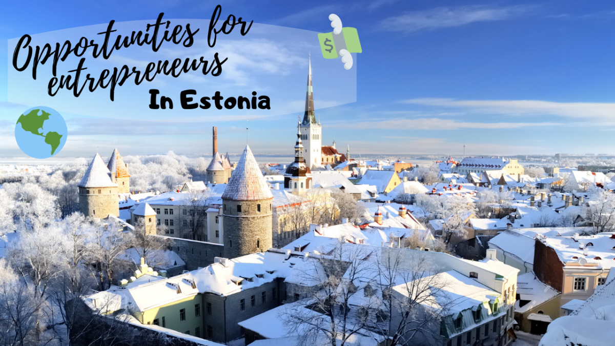 Opportunities in Estonia for foreign entrepreneurs